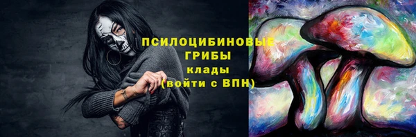 mix Арсеньев