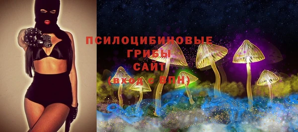 mix Арсеньев